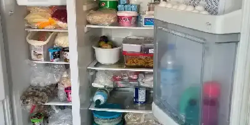 what-is-the-cause-of-the-heating-of-the-refrigerator-freezer