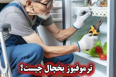 Failure of the refrigerator thermofuse