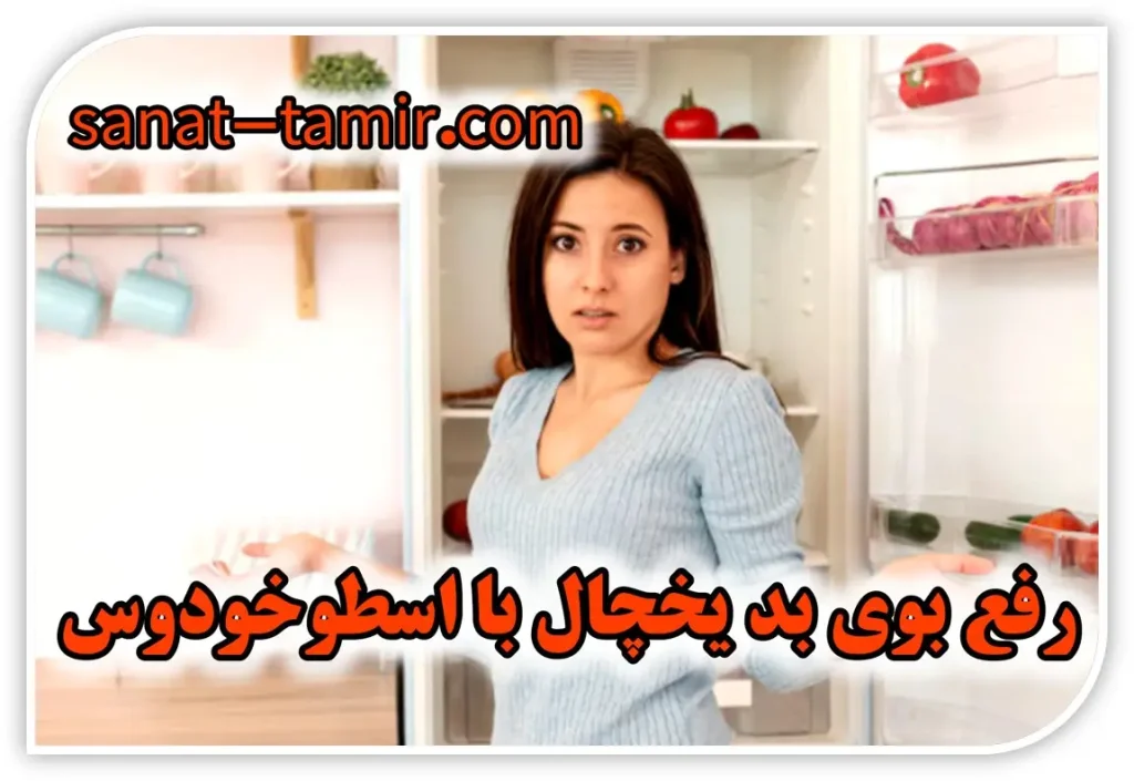 رفع بوی بد یخچال با اسطوخودوس