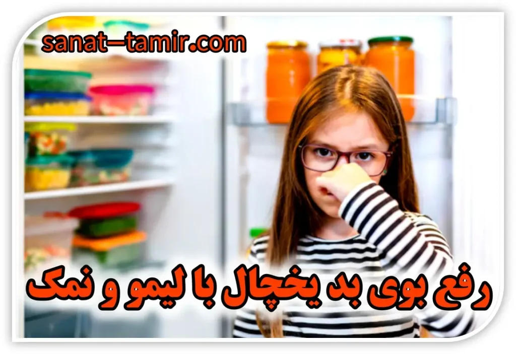 رفع بوی بد یخچال با لیمو و نمک