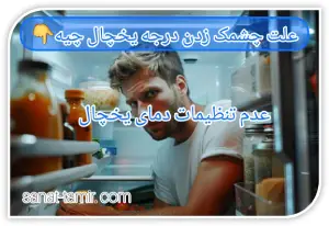 عدم تنظیم دمای یخچال