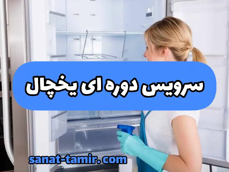 سرویس دوره ای یخچال