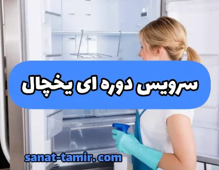 سرویس دوره ای یخچال